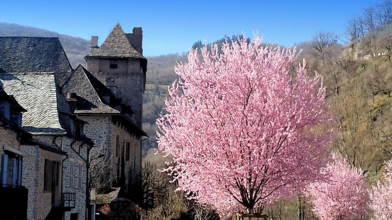 Ferienwohnung L'Oustalou - Gite Entre Lot Et Truyere Entraygues-sur-Truyère Exterior foto