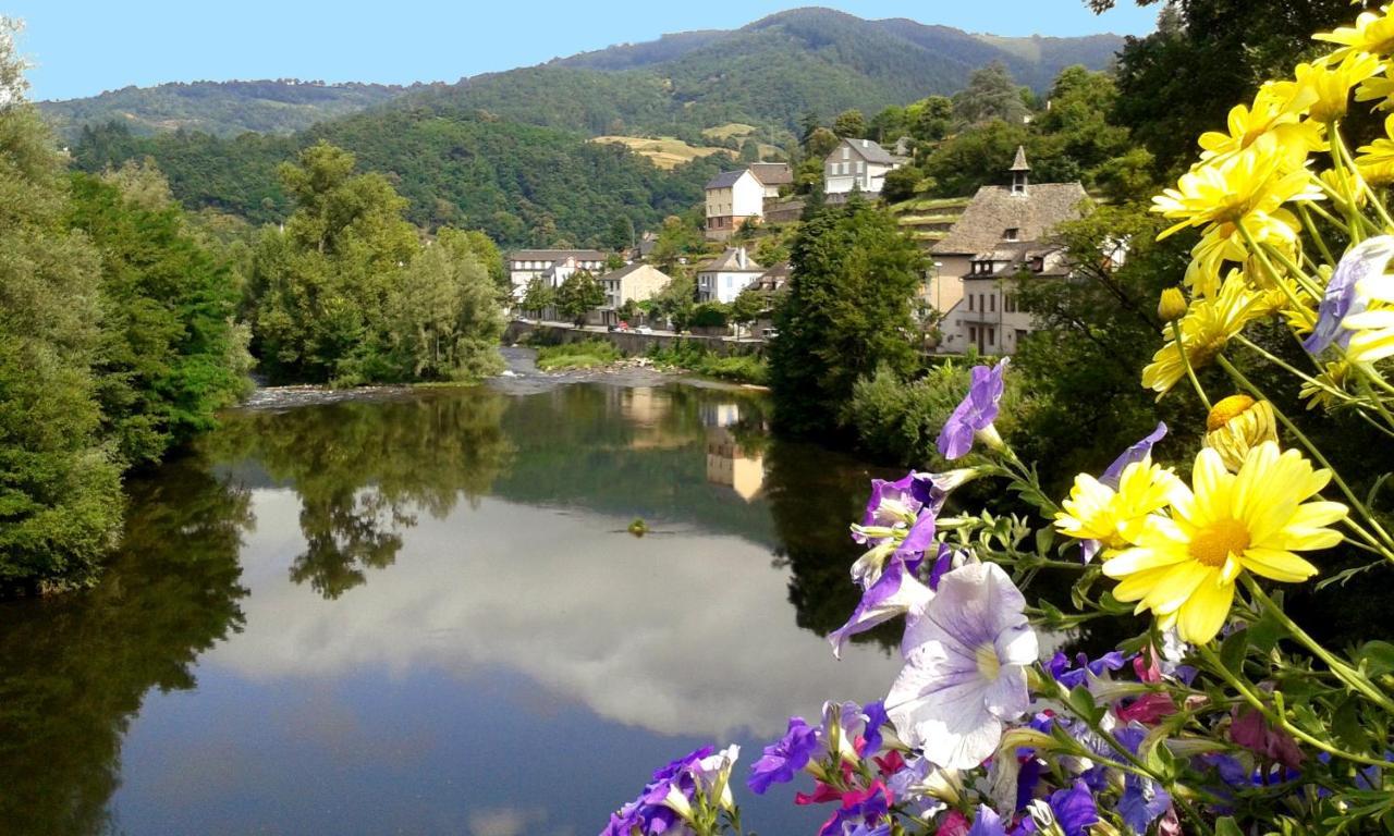 Ferienwohnung L'Oustalou - Gite Entre Lot Et Truyere Entraygues-sur-Truyère Exterior foto